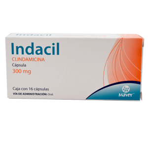 501191 indacil clindamicina cap 300 mg