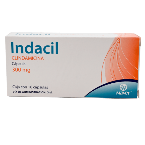 501191 indacil clindamicina cap 300 mg