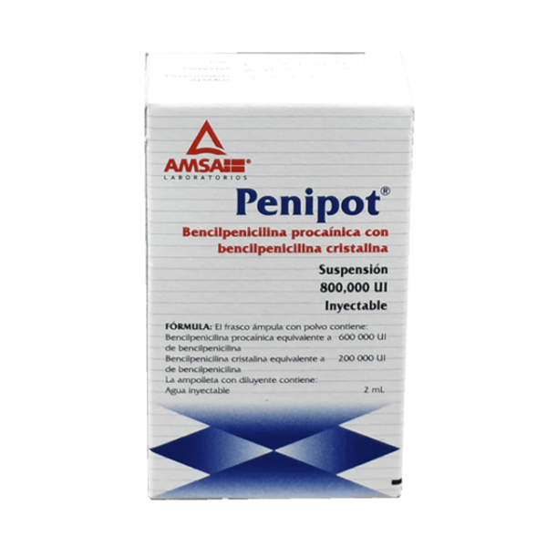 501387 PENIPOT